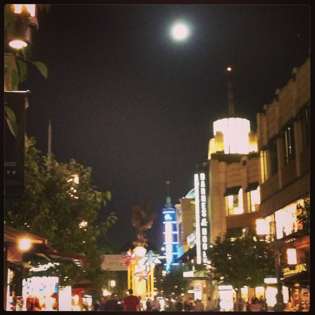 Full Moon Over the Grove